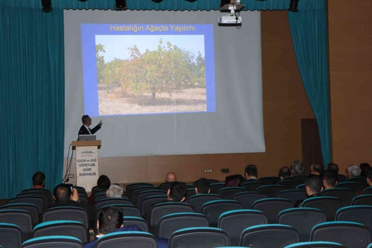 Şanlıurfa’da Fıstık Üreticilerine Seminer Düzenlendi