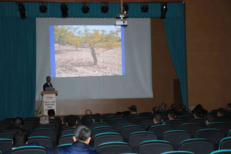 Şanlıurfa’da Fıstık Üreticilerine Seminer Düzenlendi