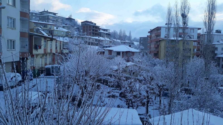 Kulp Mart Ayında Yağan Karla Beyaza Büründü