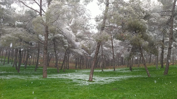 Şanlıurfa’da Mart Ayında Kar