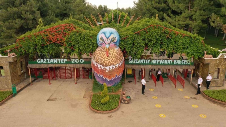 Gaziantep’e ’’kadın’’ Damgası