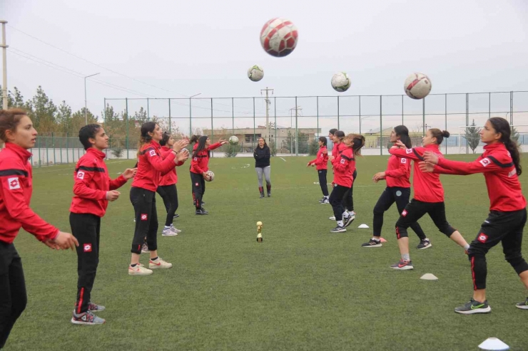 Diyarbakır’ın Fabrika Gibi Okulu, Milli Takımlara Sporcu Yetiştiriyor