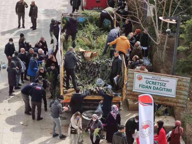 Malatya’da Ücretsiz Fidan