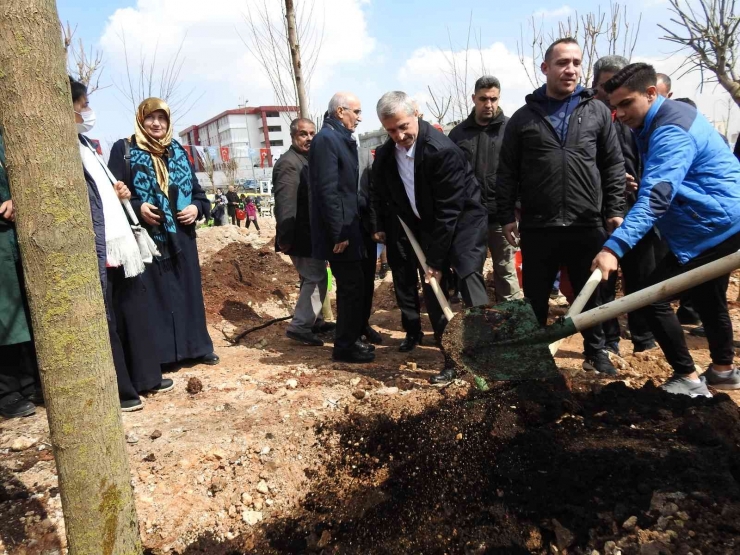 Şahinbey’de Ağaç Dikim Töreni Yapıldı