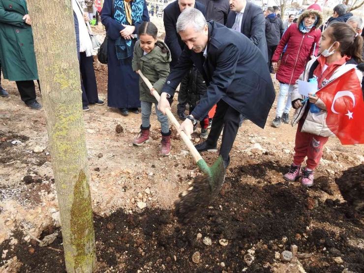 Şahinbey’de Ağaç Dikim Töreni Yapıldı