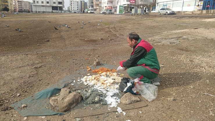 Çöplerdeki Ekmeklerle 12 Yıldır Kuşları Besliyor