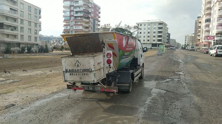 Çöplerdeki Ekmeklerle 12 Yıldır Kuşları Besliyor