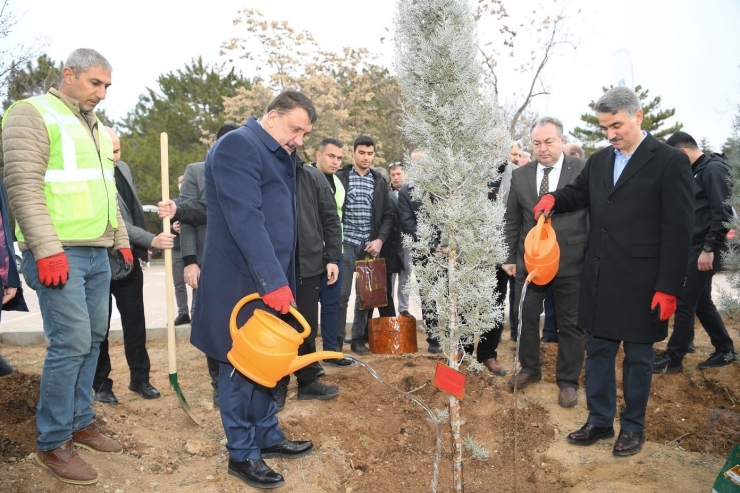 Hemşehri Dernekleri Fidan Dikti