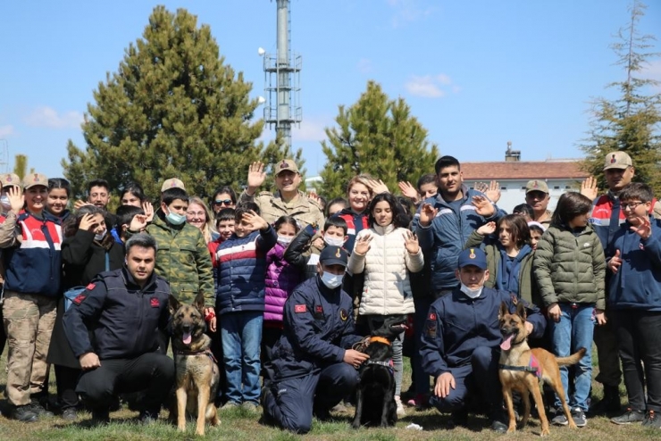 Jandarma Öğrencilerle Birlikte Ağaç Dikti