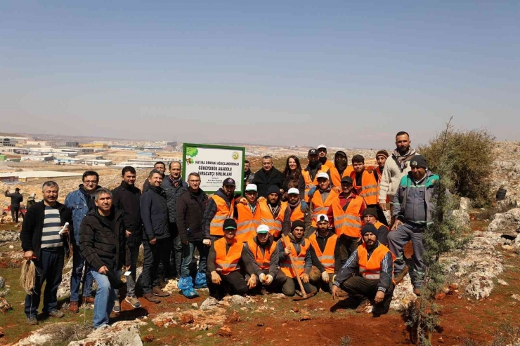 Gaib Adına Hatıra Ormanı Kuruldu