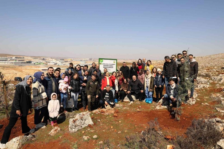 Gaib Adına Hatıra Ormanı Kuruldu