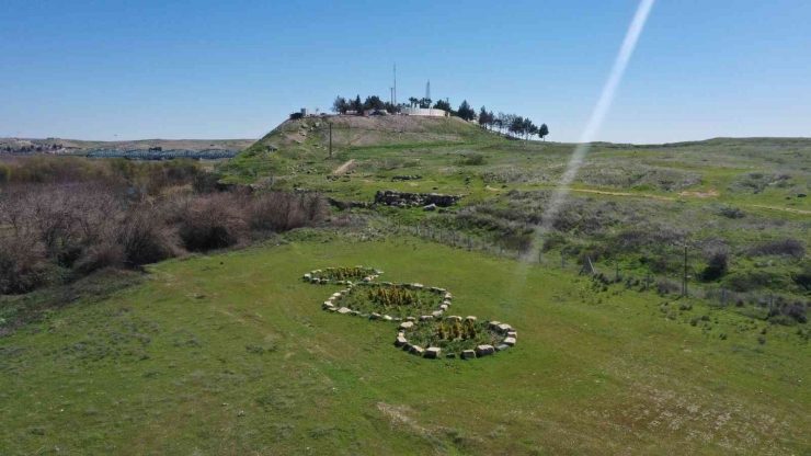 Dünyaca Ünlü İtalyan Sanatçı, Pistoletto’nun “üçüncü Bahçe” Eseri, Karkamış’ta Sergileniyor