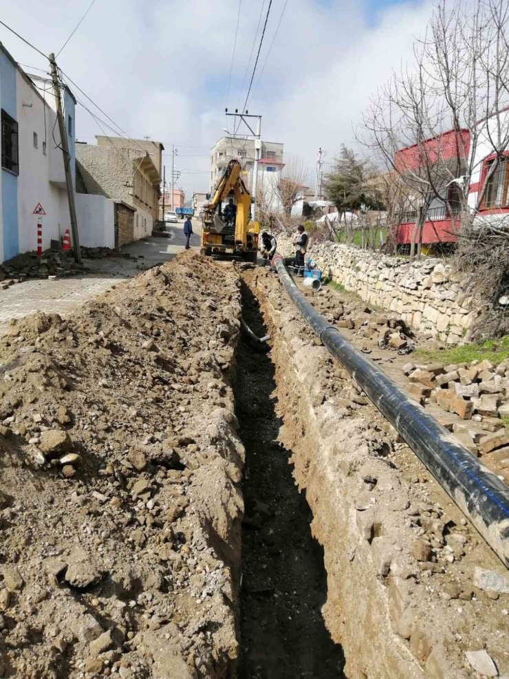 Diski Dicle Şube Müdürlüğü Çalışmalarına Devam Ediyor