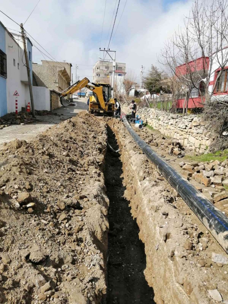 Diski Dicle Şube Müdürlüğü Çalışmalarına Devam Ediyor