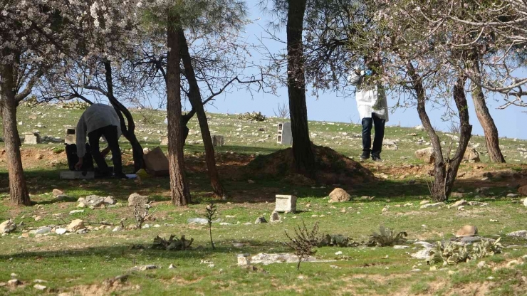 Gaziantep’te 25 Yaşındaki Genç Ağaca Asılı Halde Bulundu