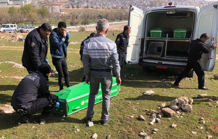 Gaziantep’te 25 Yaşındaki Genç Ağaca Asılı Halde Bulundu