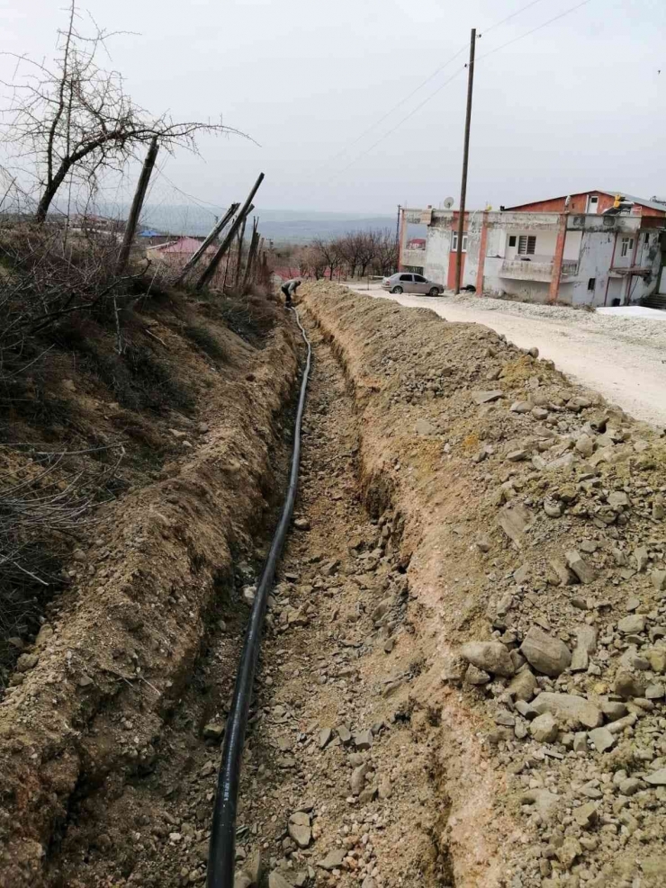 Diski Dicle Şube Müdürlüğü Çalışmalarına Devam Ediyor