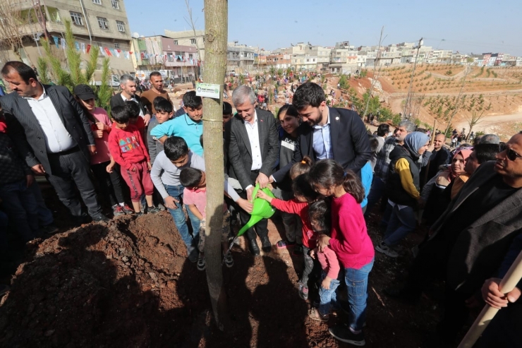 Şahinbey’de Ağaçlandırma Çalışmaları Devam Ediyor