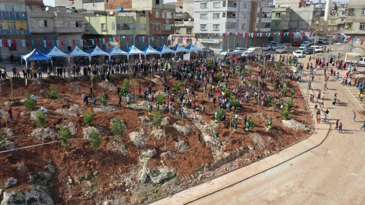 Şahinbey’de Ağaçlandırma Çalışmaları Devam Ediyor