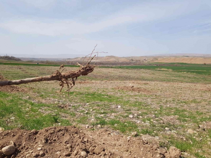 Malatya’da Şaşırtan Hırsızlık