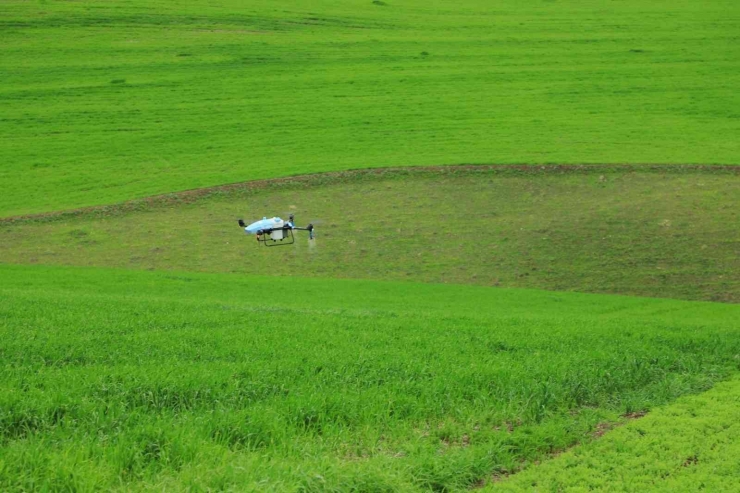 Çiftçiye Droneli İlaçlama Desteği