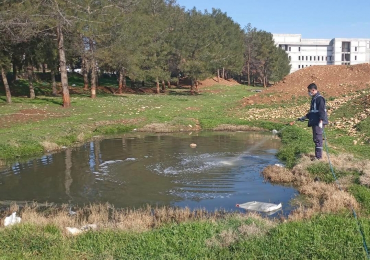 Larva İlaçlama Çalışmaları Devam Ediyor