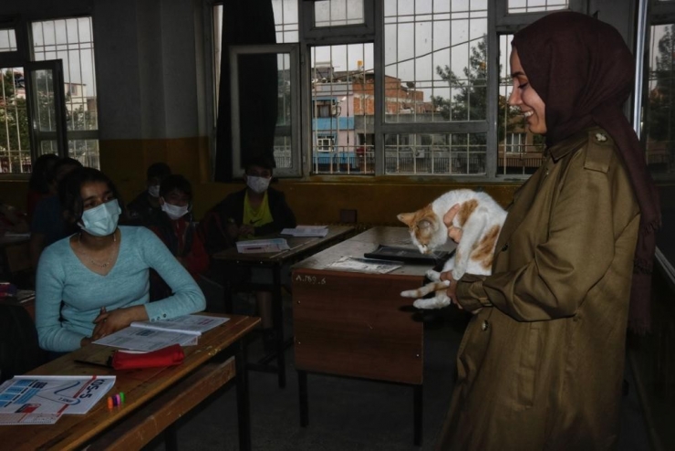 Diyarbakır’da Tedavi Edilen Kediler, Okulun Maskotu Oldu