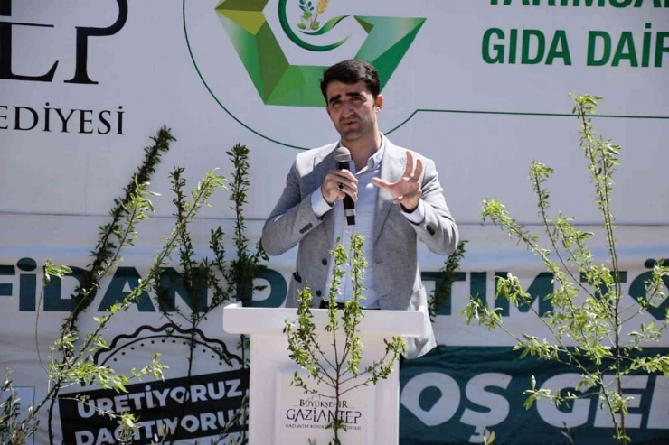 Büyükşehir Belediyesi 5 Bin Yağlık Zeytin Ve Badem Fidanı Dağıttı