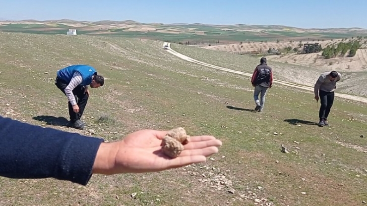 Baharda Yağmurun Az Olması En Çok Keme Avcılarını Üzdü