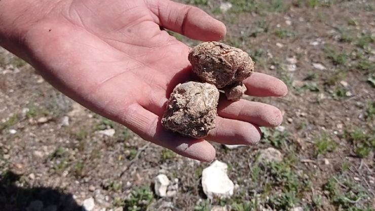 Baharda Yağmurun Az Olması En Çok Keme Avcılarını Üzdü