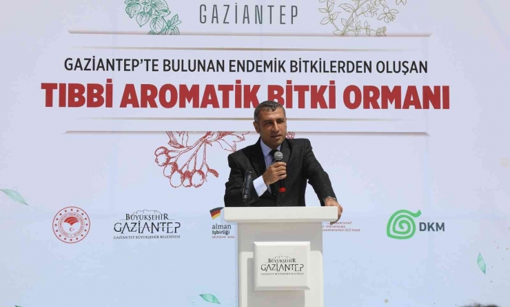 Büyükşehir, Tıbbi Ve Aromatik Bitkiler Ormanı Kurdu