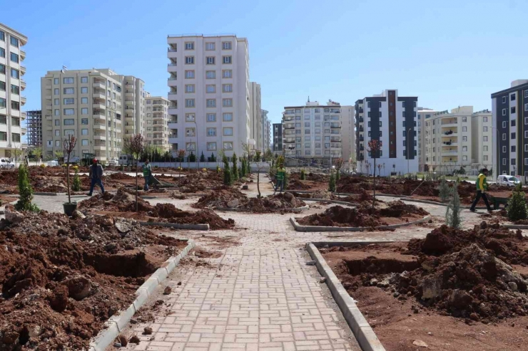 Karaköprü’de Yeni Parklar Ağaçlarla Yeşilleniyor