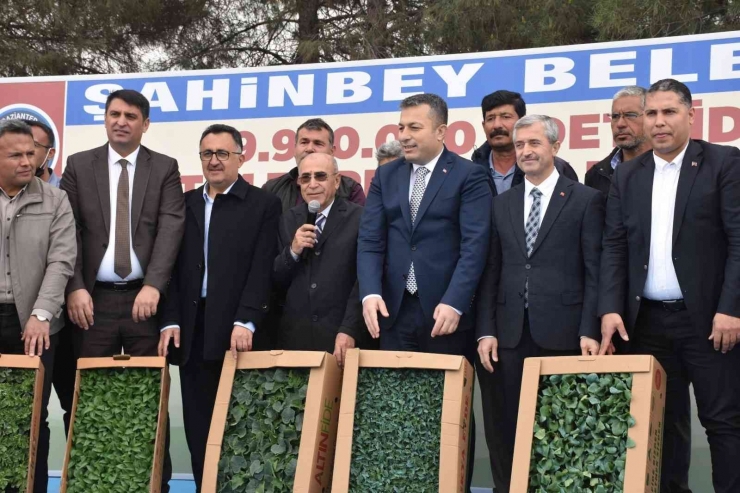 Çiftçilere Milyonlarca Fide Dağıtıldı