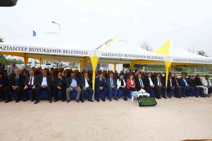 Gaziantep’te Tarımsal Üretime 2 Milyon Fide Desteği