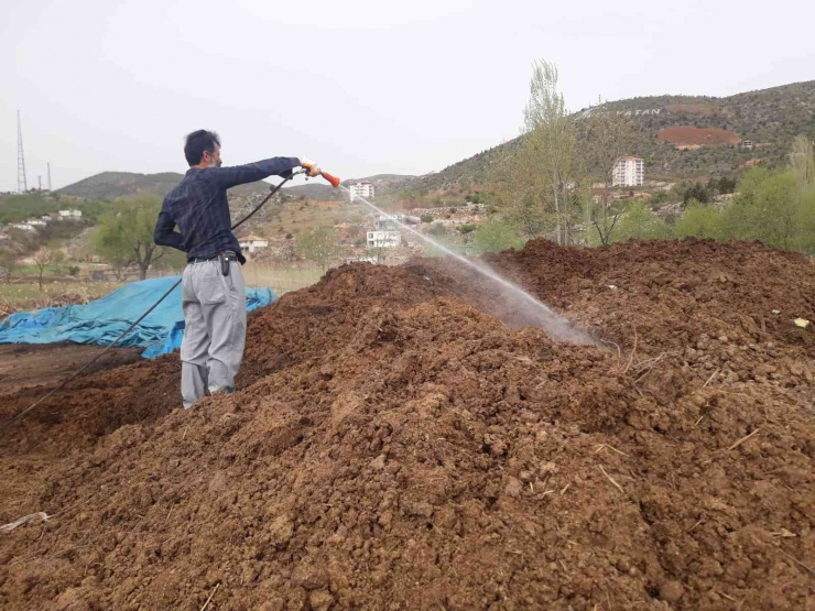 Gölbaşı’nda Larva İlaçlaması Sürüyor