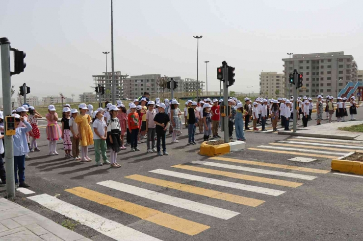 Şanlıurfa’da Öğrenciler Trafik Haftasını Kutladı