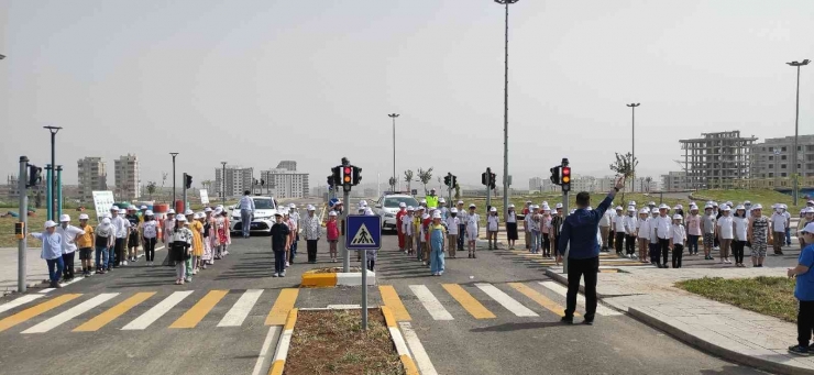 Şanlıurfa’da Öğrenciler Trafik Haftasını Kutladı