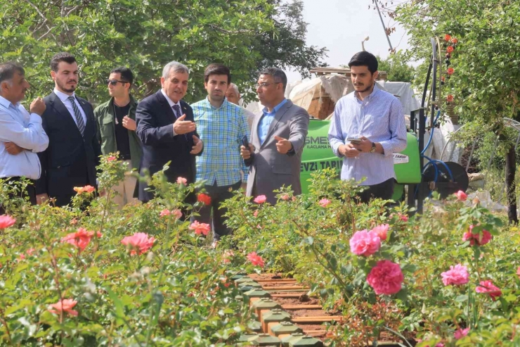 Şanlıurfa’nın Cadde Ve Sokaklarında Çiçek Açacak