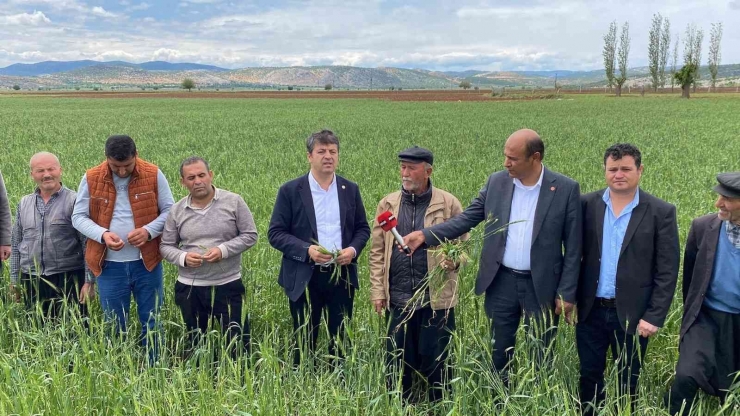 Milletvekili Tutdere: “dolu Afetinden Dolayı Ağaçlarda Dal, Ekinlerde Başak Kalmadı”