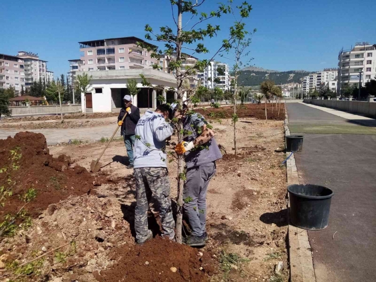 Kent Parkta Bahar Bakımı