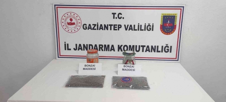 Gaziantep’te 15 Kilo Esrar Ele Geçirildi