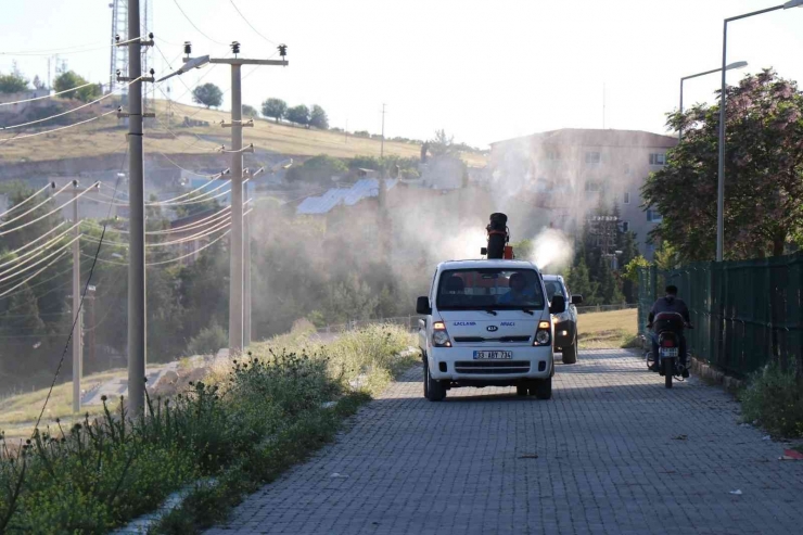 Bozova Belediyesinden Haşereye Karşı İlaçlama