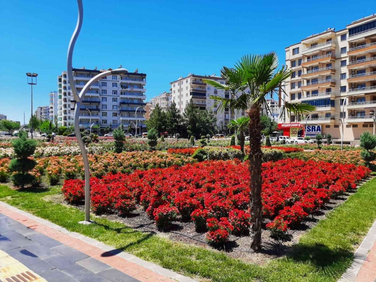 Bağlar Belediyesi Gül Parkı, Değişik Aktivite Alanlarıyla Huzurun Adresi Oldu