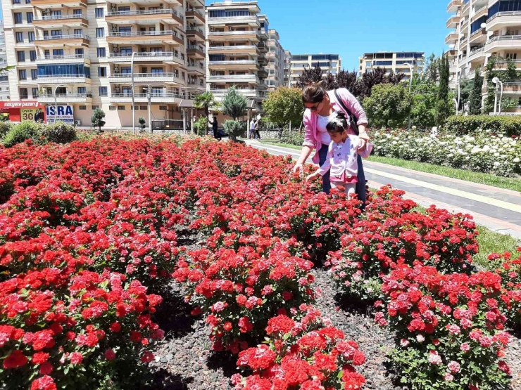 Bağlar Belediyesi Gül Parkı, Değişik Aktivite Alanlarıyla Huzurun Adresi Oldu