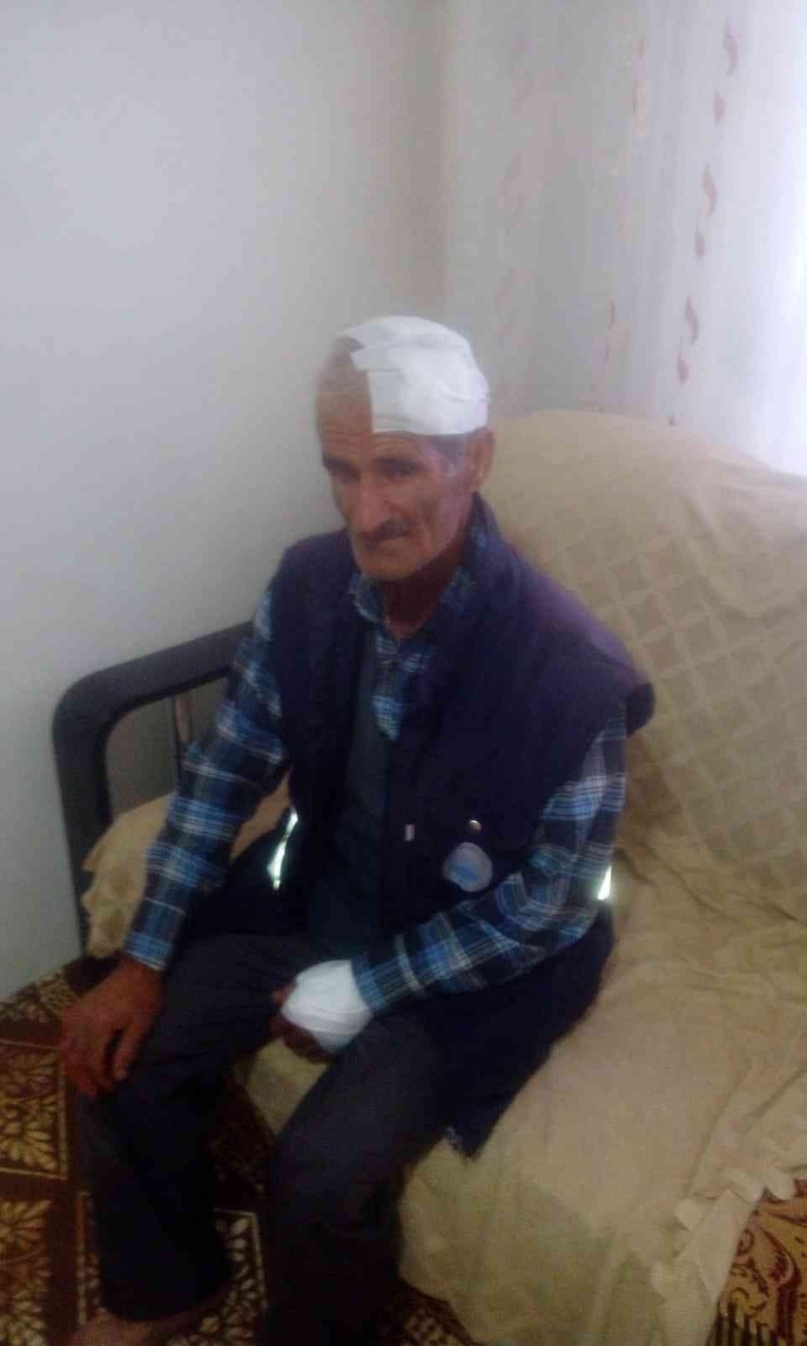 Diyarbakır’da Sokak Köpekleri Yaşlı Adama Saldırdı