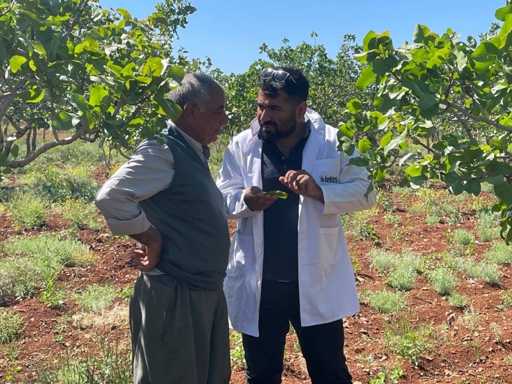 Olumsuz Hava Koşullarının Ekili Arazilere Verdiği Zarar Tarım Sigortasının Önemini Bir Kez Daha Ortaya Koydu