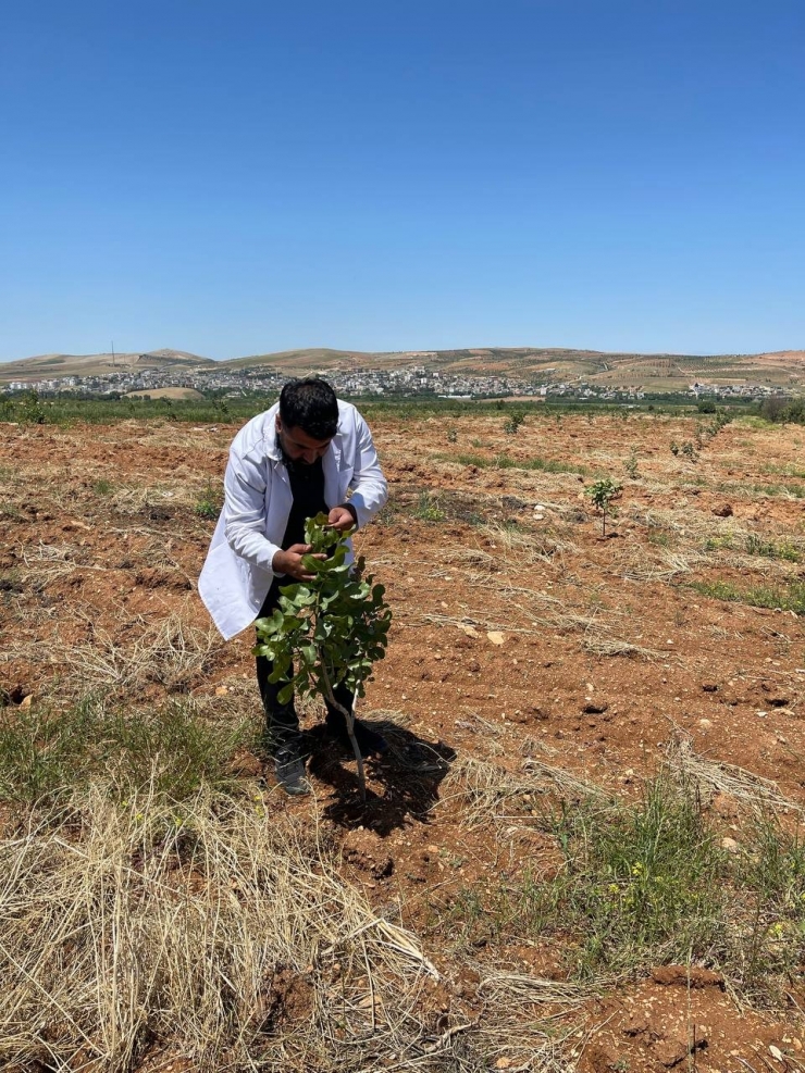 Olumsuz Hava Koşullarının Ekili Arazilere Verdiği Zarar Tarım Sigortasının Önemini Bir Kez Daha Ortaya Koydu