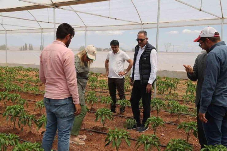 Eyyübiye Seraları Açılışa Gün Sayıyor