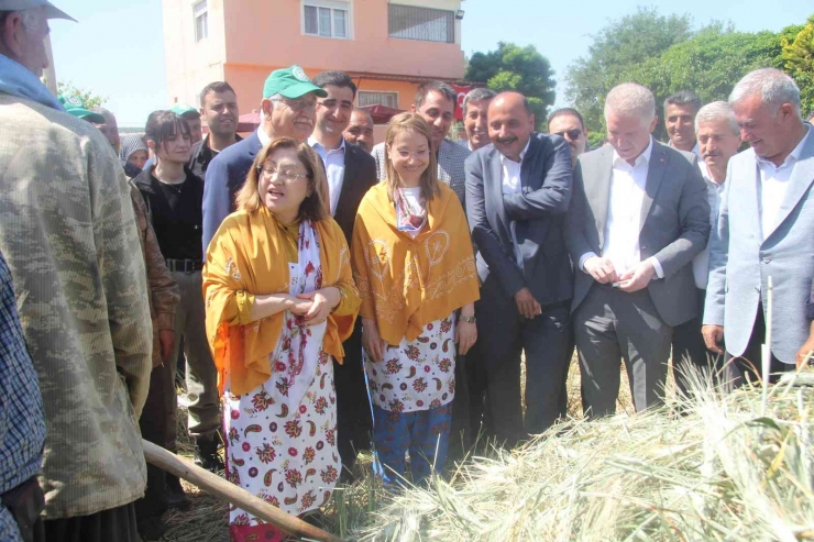 Araban’da Festival Coşkusu