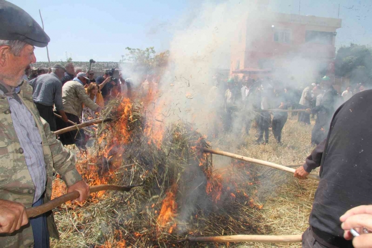 Araban’da Festival Coşkusu